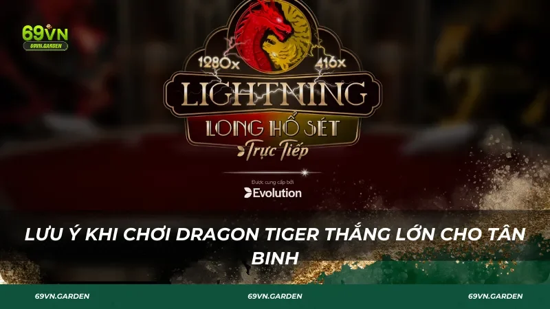 Lưu ý khi chơi Dragon Tiger thắng lớn cho tân binh