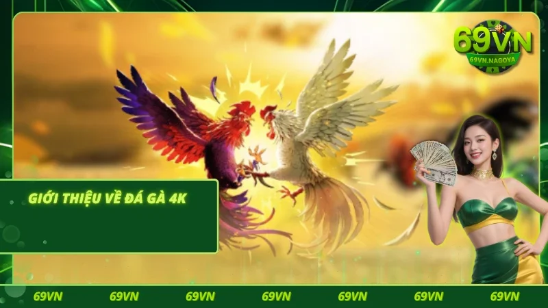Bật mí về đá gà 4K