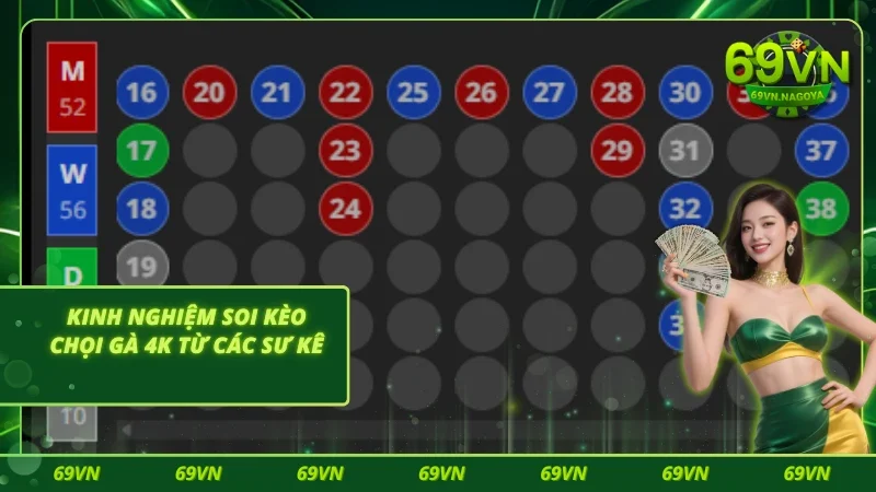 3 kinh nghiệm soi kèo đá gà 4K