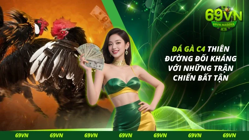 Đá gà C4